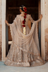 Noor